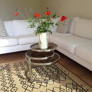 Billede fra billedgalleriet på Bungalow Brigitte i Podersdorf am See