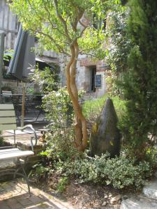 a tree and a rock sitting next to a bench at La Cour Sainte Catherine demeure de charme in Honfleur