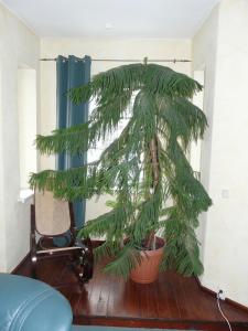 Fotografie z fotogalerie ubytování Pension Wegerich v destinaci Erfurt