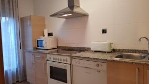 Una cocina o zona de cocina en Apartamentos Puerta Muralla