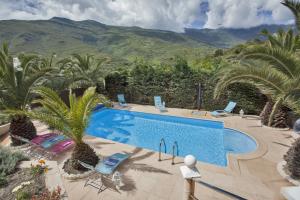 a pool with palm trees and mountains in the background at Gites Carolina in Sisco