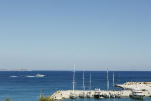 a bunch of boats are docked in the water at Viva Mare Studios in Astypalaia Town