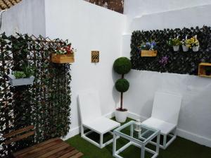 コルドバにあるApartamento VIANA HOMEの椅子2脚と植物の壁