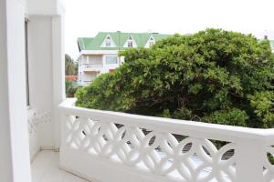 a white balcony with a large green bush at Hospedaje Solymar Edificio Comodore apto 203 in San Andrés