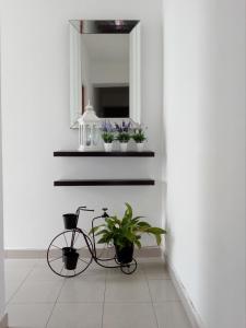 a bike in a room with a mirror and a plant at Apartamento Couto in Ponta Delgada
