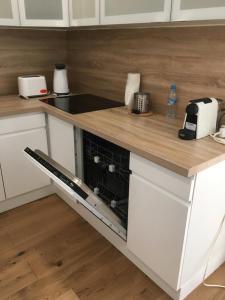 a kitchen with a counter top with a dishwasher at Residence de luxe tout confort in Geneva