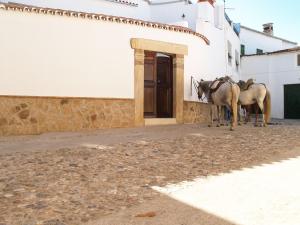 Gallery image of Casa Rural Las Nieves in Garrovillas