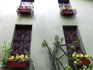 3 fenêtres avec des boîtes de fleurs sur le côté d'un bâtiment dans l'établissement Pousada Éden, à Sao Jorge