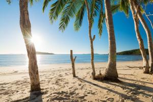 a beach with palm trees and palm trees at Great Keppel Island Hideaway in Great Keppel