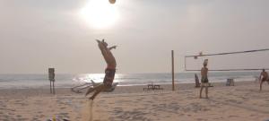 Hosté ubytování Jungle Beach Ahungalla