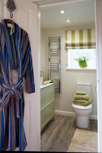 a bathroom with a toilet and a sink and a window at The Coach House in Rudgwick