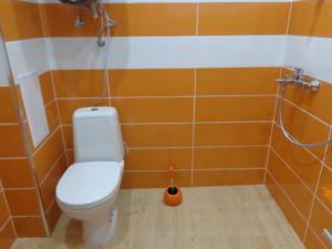 a bathroom with a toilet and a shower at Apartment Moni in Veliko Tŭrnovo
