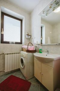 a bathroom with a washing machine and a sink at Studio apartman Salopek in Ogulin