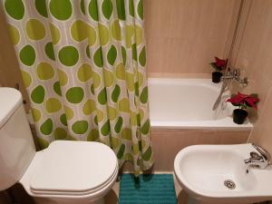 シエラネバダにあるApartamento entero 2 dormitorios para 6 personas con vistas espácialesのバスルーム(トイレ、洗面台、シャワーカーテン付)