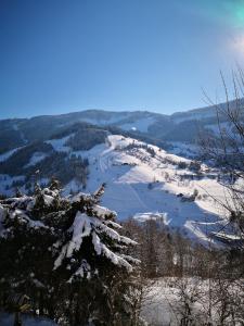 een uitzicht op een rivier met sneeuw erop bij Ferienwohnung Klappacher in Maria Alm am Steinernen Meer