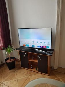 a flat screen tv on a stand with a potted plant at Gerald`s Apartment 12 in Vienna