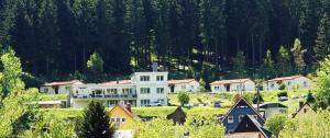 a large white building in the middle of a village at Pension Am Waldesrand in Ilmenau