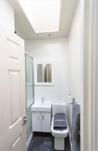 a bathroom with a toilet and a sink and a skylight at Swindon City Centre Duplex - EnterCloud9SA in Swindon