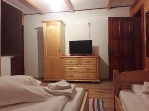 Dormitorio con cama y tocador con TV en Denisa's Lodge, en Arieşeni