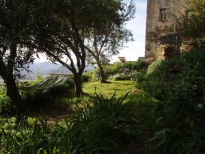Gallery image of Cicendolle in Vallecalle