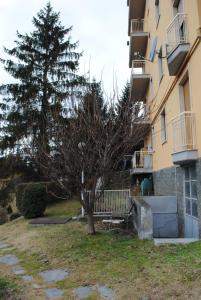 a tree in a yard next to a building at Maison de Massimo cir 44 in Aosta