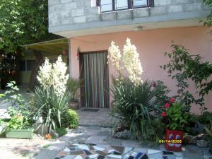 un jardín con flores y plantas frente a un edificio en Villa Trakia, en Golden Sands