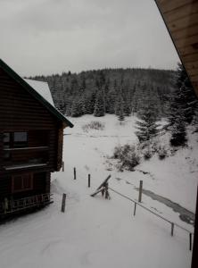 WoodDream v zimě