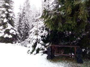 WoodDream v zimě