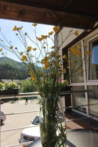 Gallery image of Villa Nova in Tatariv +231 photos