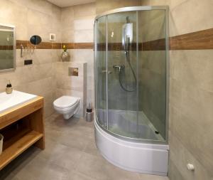 a bathroom with a shower and a toilet at Apartamenty "BULWAR GORZOW" in Gorzów Wielkopolski