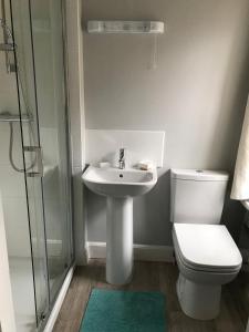 uma casa de banho com um WC, um lavatório e um chuveiro em St Jude's Bed & Breakfast em Dersingham