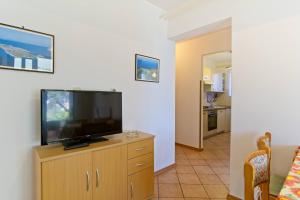 TV a/nebo společenská místnost v ubytování Apartmani Dorita
