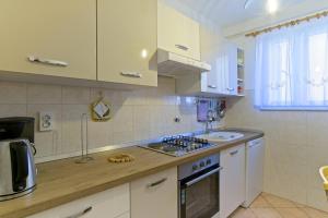 Kuchyň nebo kuchyňský kout v ubytování Apartmani Dorita