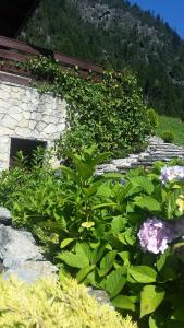 Giardino di Lupshalte