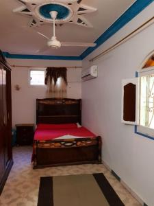 Kép Keka Nubian House szállásáról Asszuánban a galériában