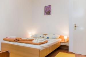 Billede fra billedgalleriet på Apartmani Branka i Drače + 52 billeder