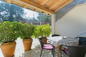 Zahrada ubytování Apartmani Dorita