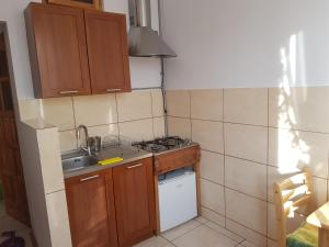 een kleine keuken met een wastafel en een fornuis bij Apartament Aga2 in Oświęcim