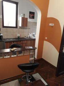Kuchyň nebo kuchyňský kout v ubytování Motor House Unirii