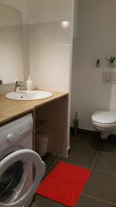 a bathroom with a sink and a washing machine at Ptit Savoy in Saint-Nectaire +6 photos