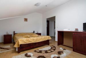 1 dormitorio con 1 cama, TV y alfombra en Pensiunea Casa Anca, en Agapia