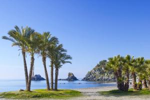 a group of palm trees on a beach at Central Almuñecar, Beach Playa 125 metres, by Old Town in Almuñécar