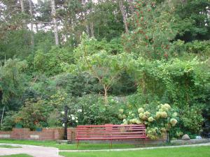 a red park bench in a garden with roses at Villa Mielno-EKO in Mielno