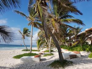 a beach with palm trees and white sand and the ocean at The Beach Tulum Hotel in Tulum
