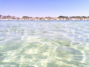 プレシッチェにあるA Casa di Katia Salentoのビーチの水辺の景色を望めます。