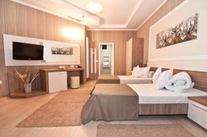 TV a/nebo společenská místnost v ubytování Hotel Confort