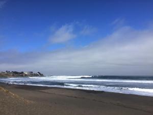 A beach at or near the lodge