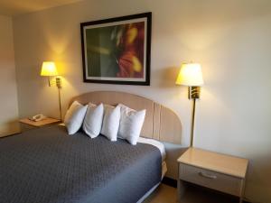 um quarto de hotel com uma cama com almofadas e dois candeeiros em Americas Best Value Inn-Eloy Casa Grande em Eloy