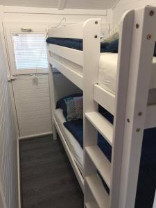 a bunk bed in a tiny house at Cozy Cabin in Čatež ob Savi