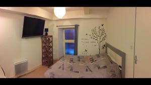Un dormitorio con una cama y un televisor de pantalla plana. en Appartement T3 en souplex sur le port de Saint Goustan, en Auray